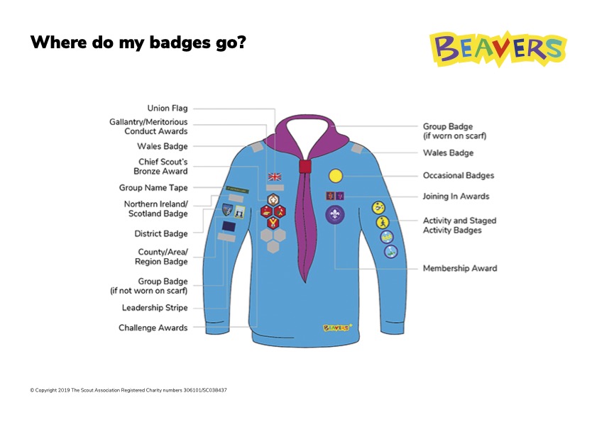 Beaver uniform badge placement diagram